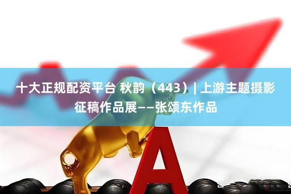 十大正规配资平台 秋韵（443）| 上游主题摄影征稿作品展——张颂东作品