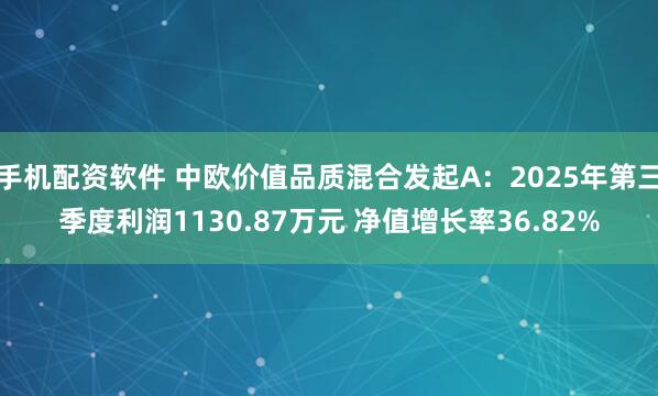 手机配资软件 中欧价值品质混合发起A：2025年第三季度利润1130.87万元 净值增长率36.82%