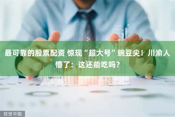 最可靠的股票配资 惊现“超大号”豌豆尖！川渝人懵了：这还能吃吗？